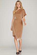 Load image into Gallery viewer, Angel Face Rose Velvet Dress