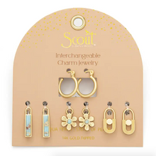 Load image into Gallery viewer, Interchangeable Charm Earring