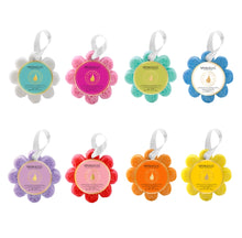 Load image into Gallery viewer, Spongelle Wildflower 14 + Washes