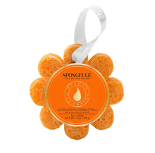 Load image into Gallery viewer, Spongelle Wildflower 14 + Washes