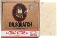 Load image into Gallery viewer, Dr. Squatch Bar Soap