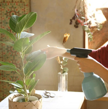 Load image into Gallery viewer, Mistify 34 oz Sprayer