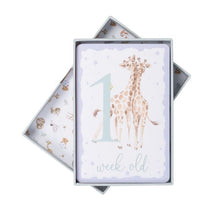 Load image into Gallery viewer, Baby Milestone Cards