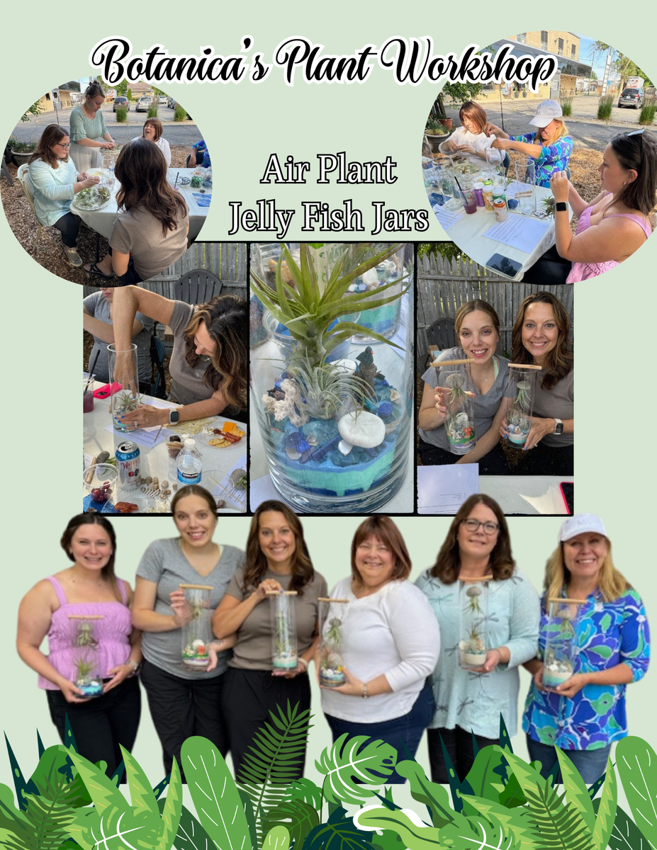 Plant Workshops – Botanica Modern Market