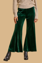 Load image into Gallery viewer, Emerald City Velvet Pants
