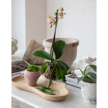 Load image into Gallery viewer, Organic Berry Planter Vase
