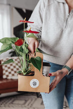 Load image into Gallery viewer, Coffee &amp; Plant Bundle
