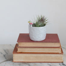 Load image into Gallery viewer, Stoneware Mushroom 3" Cup/Planter
