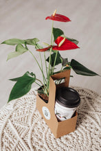 Load image into Gallery viewer, Coffee &amp; Plant Bundle
