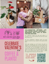 Load image into Gallery viewer, Coffee &amp; Plant Bundle
