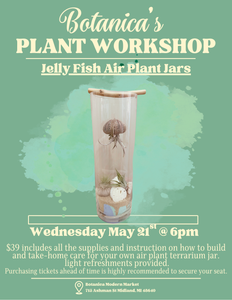 DIY Plant Workshop