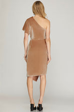 Load image into Gallery viewer, Angel Face Rose Velvet Dress
