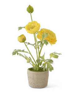 Yellow 15" Ranunculus Clay Pot