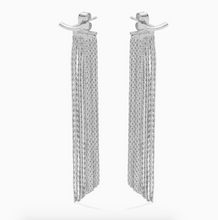 Load image into Gallery viewer, Back Accented Long Earrings
