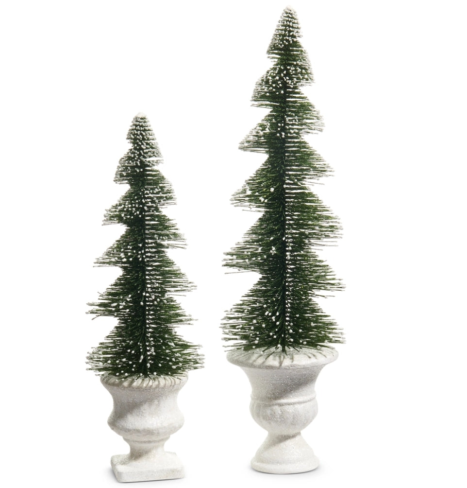 Bottle Brush Trees in Urn