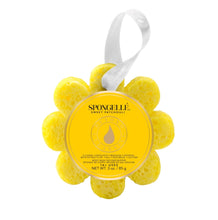 Load image into Gallery viewer, Spongelle Wildflower 14 + Washes
