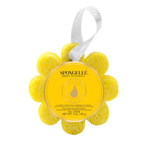 Spongelle Wildflower 14 + Washes