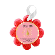 Load image into Gallery viewer, Spongelle Wildflower 14 + Washes
