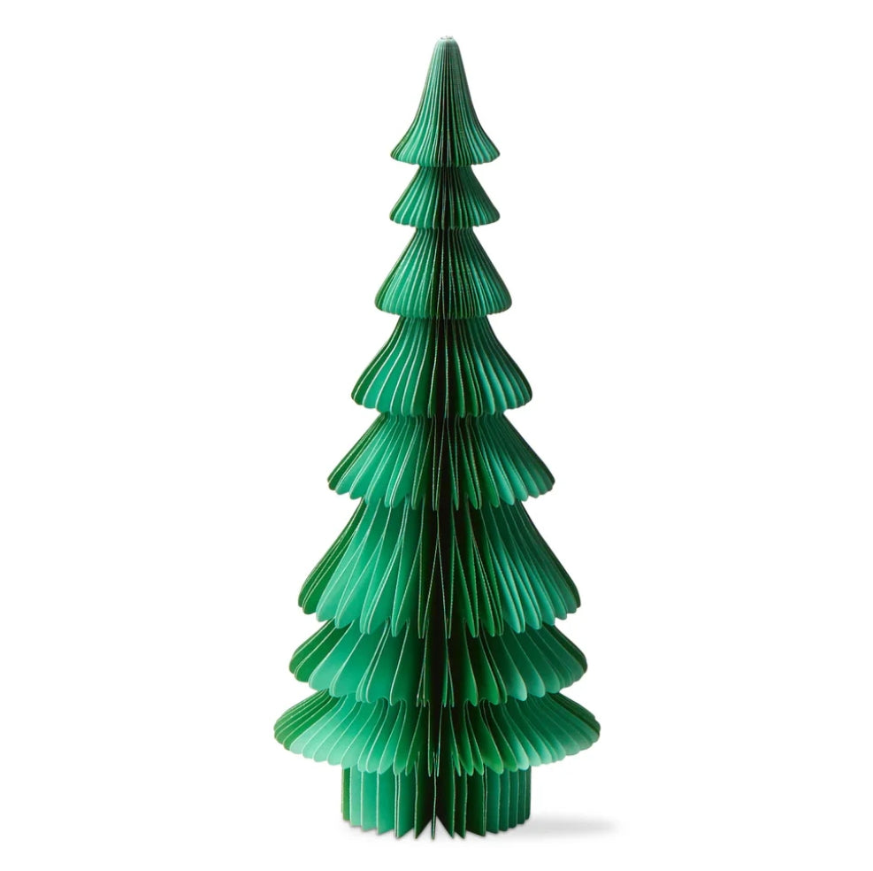 Evergreen Paper Tree