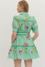 Load image into Gallery viewer, Pressed Petals Green Stripe Dress
