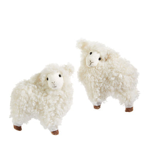 Sherpa Lamb