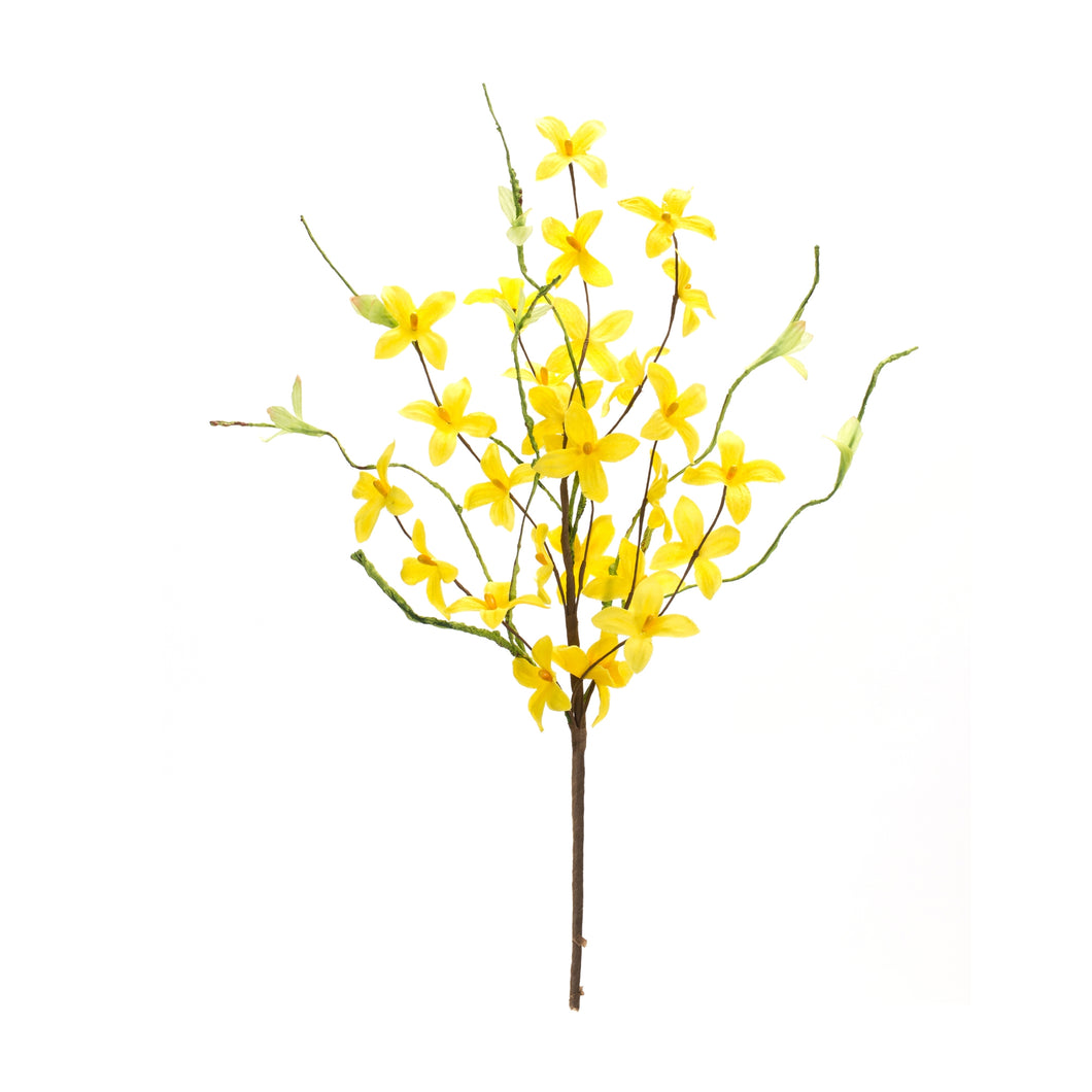 Forsythia Floral Pick