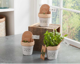 Herb Planting Set