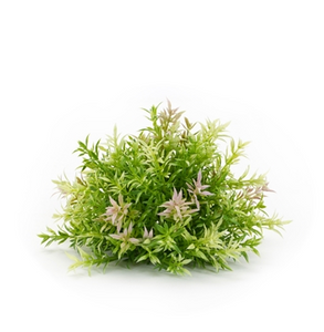Half Decorative Faux Greenery Orb