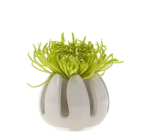 White Air plant Holder