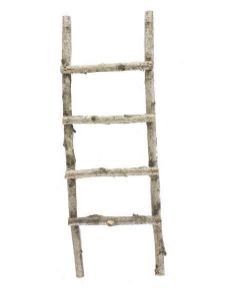 Mini Birch Ladders
