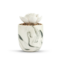 Load image into Gallery viewer, Marbled Succulent Oil Diffuser
